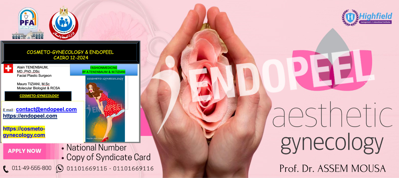 endopeel-cairo-12-2024