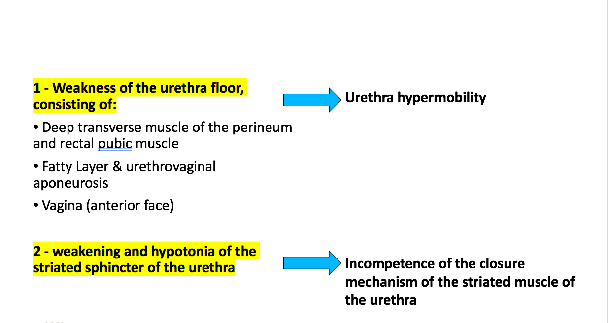 physiopathology of urinary incontinence